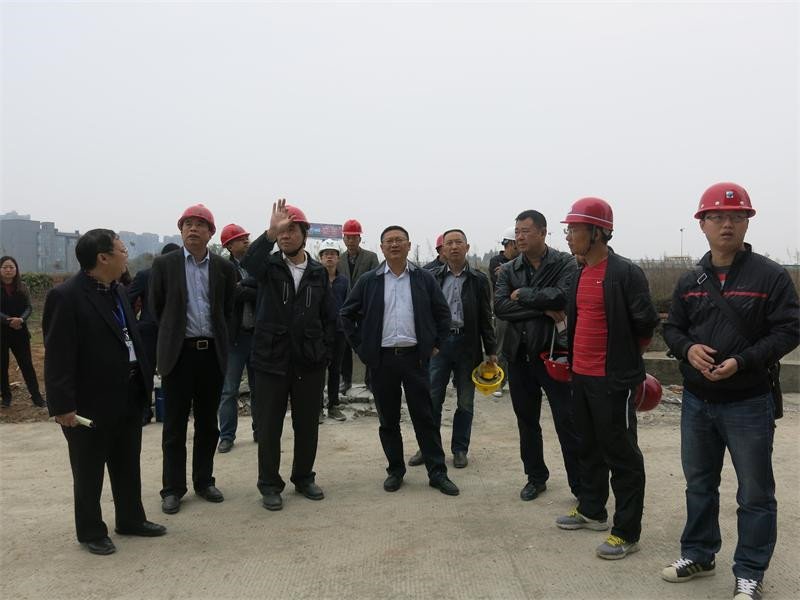 县领导视察我院迁建项目.jpg