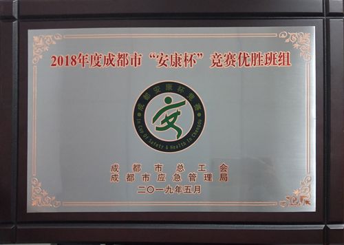 “安康杯”奖牌_副本.jpg