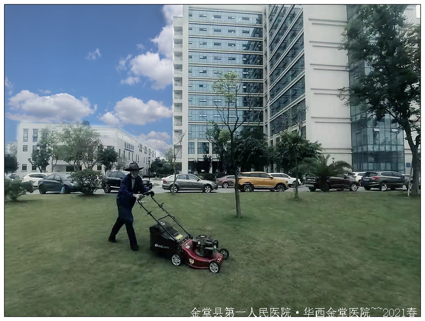 除草.jpg