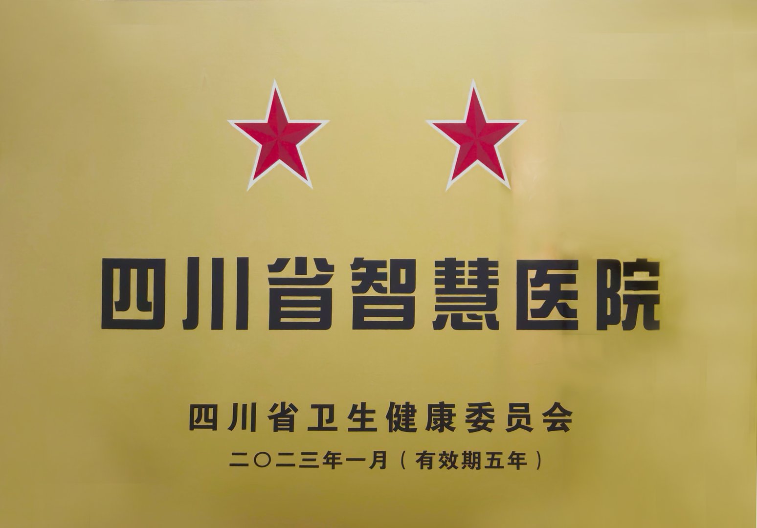 【省级】四川省二星级智慧医院